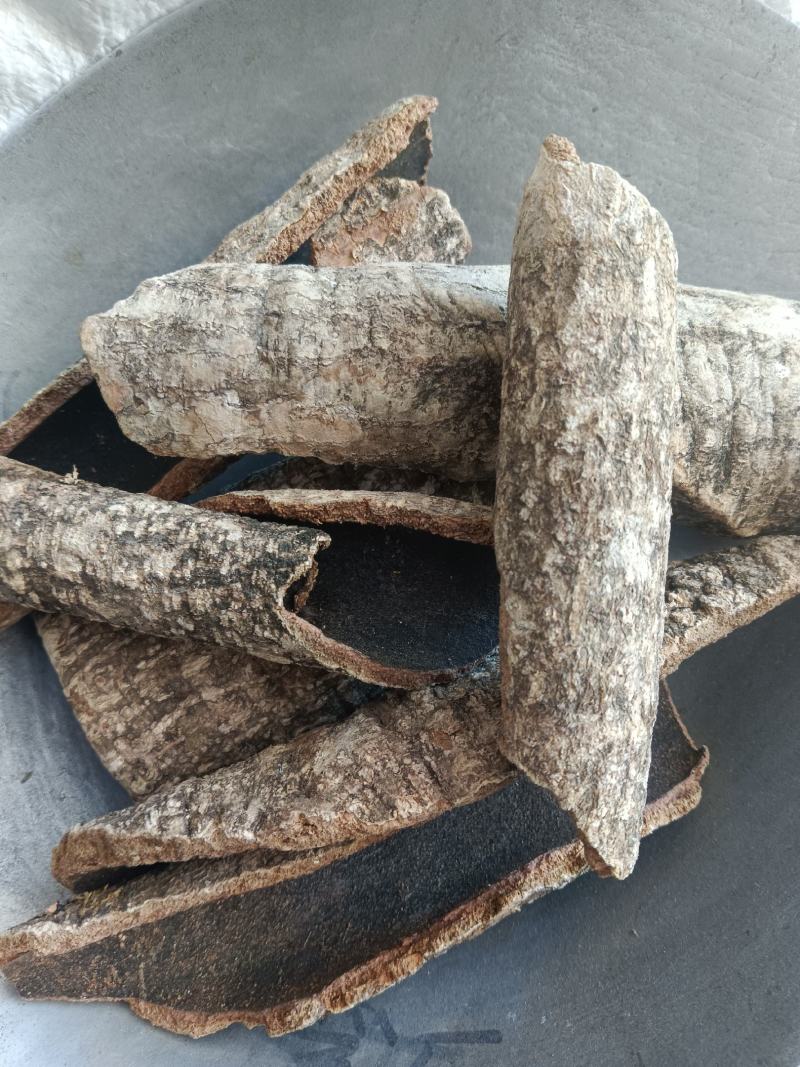 救必应，铁冬青，龙胆木，无硫，实拍，现货，24小时内发货