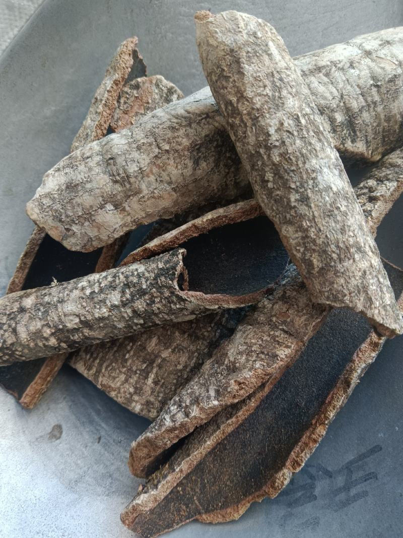 救必应，铁冬青，龙胆木，无硫，实拍，现货，24小时内发货
