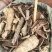 救必应,铁冬青,龙胆木,无硫,实拍,现货,24小时内发货