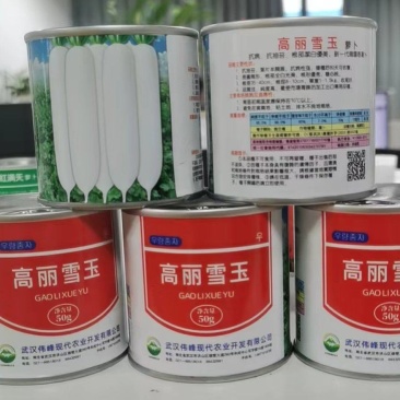 高丽雪玉白萝卜种子