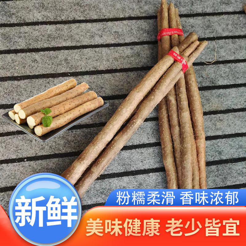 河北山药铁棍山药沙地山药大量供应规格齐全全国发货欢迎来电
