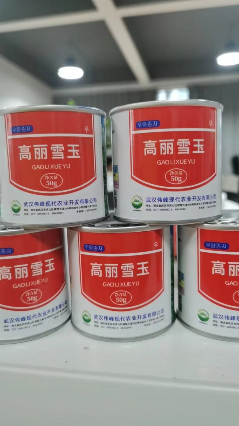 高丽雪玉白萝卜种子
