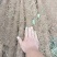 河北山药铁棍山药沙地山药大量供应规格齐全全国发货欢迎来电