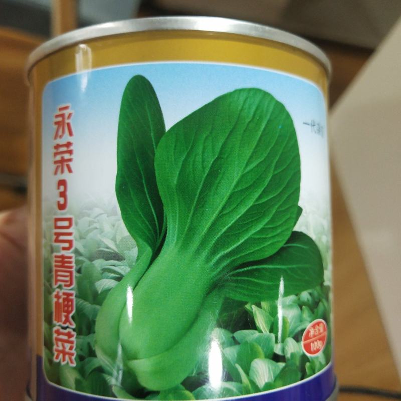 永荣3号青梗菜种子