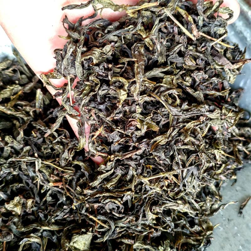 高山茶浓香型福建高山乌龙茶叶散装高香茶花香高山茶叶飘香茶