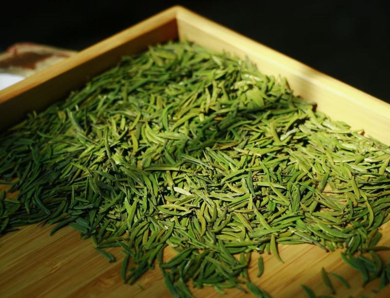 精品高山绿茶【翠芽】高山云雾茶品种纯正农家自种