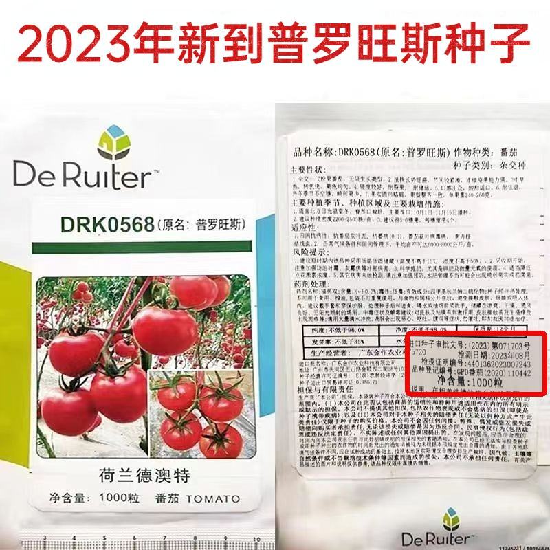 普罗旺斯西红柿种子沙瓤口感柿子种子口感草莓番茄种子