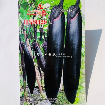 川早9329早熟长茄种子黑紫油亮果肉淡绿黑紫色棒茄种子