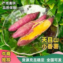 浙江杭州临天目山小香薯1两以下小籽红薯黄心新鲜现挖