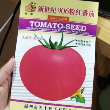 新世纪906粉红番茄种子