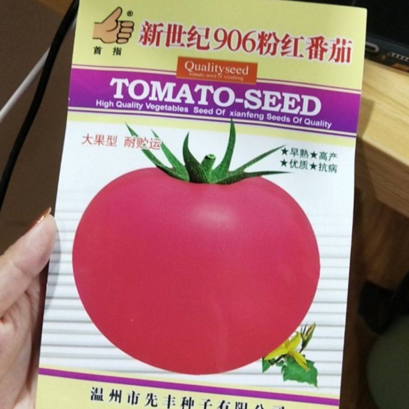 新世纪906粉红番茄种子