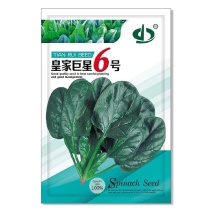 皇家巨星6号杂交菠菜种子耐抽苔抗病黑圆叶厚肉直立菠菜大