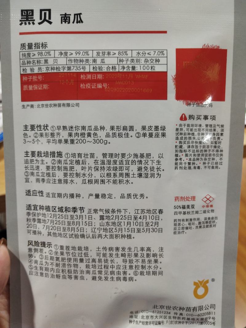 黑贝南瓜种子