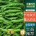 龙椒山东原产地，龙椒，线椒，圆椒，杭椒，辣妹子，麻辣椒，