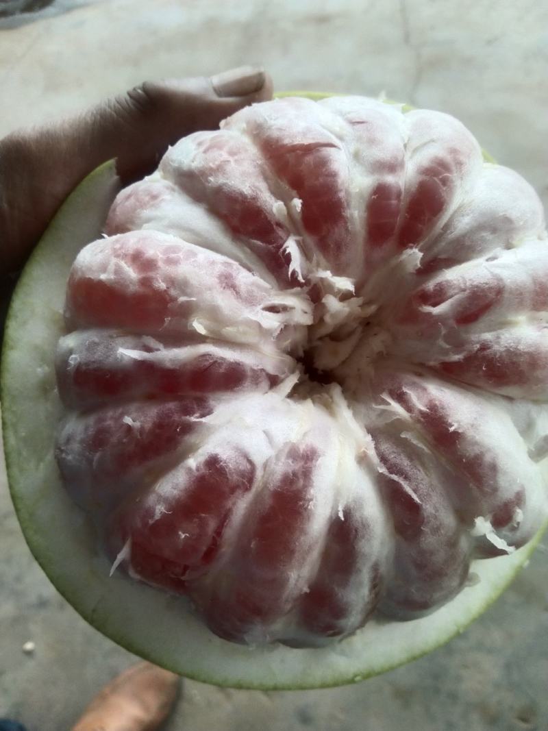 松林红心柚，囗感纯正，色泽鲜艳，皮薄肉红，水份充足