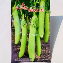 龙盛绿美人茄子种子绿长茄种子油绿丰产绿萼长条青茄子种子