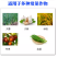 百农思达25%噻虫嗪蚜虫韭蛆稻飞虱蓟马盲蝽蟓杀虫剂