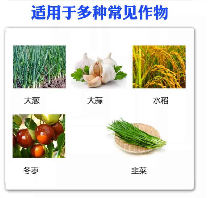 百农思达25%噻虫嗪蚜虫韭蛆稻飞虱蓟马盲蝽蟓杀虫剂