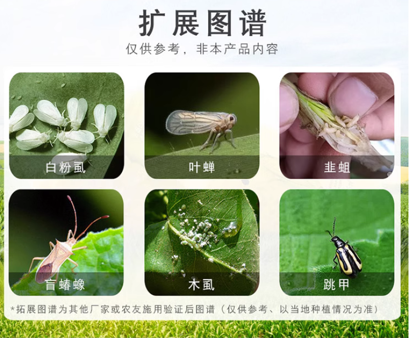 百农思达25%噻虫嗪蚜虫韭蛆稻飞虱蓟马盲蝽蟓杀虫剂
