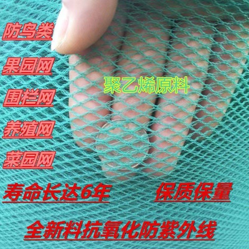 农用大棚种植果园防鸟网鱼塘养殖樱桃枇杷果水果园防虫防鸟用