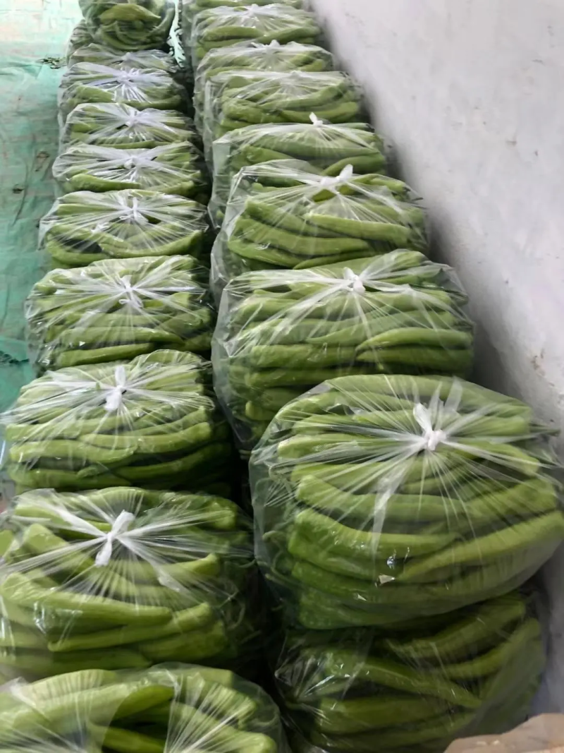 鲜辣椒，黄皮尖椒莘县万亩大棚蔬菜代收代发全国市场