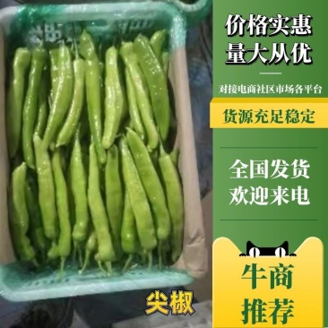 山东尖椒新鲜上市了，条直颜色靓，新店开业需要您的支持！