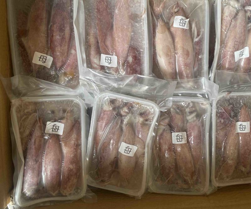 满膏鱿鱼带籽小管海兔有蛋鱿鱼