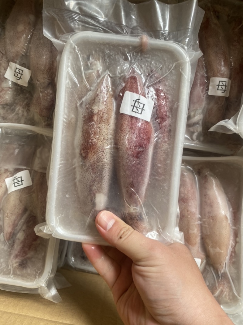 满膏鱿鱼带籽小管海兔有蛋鱿鱼