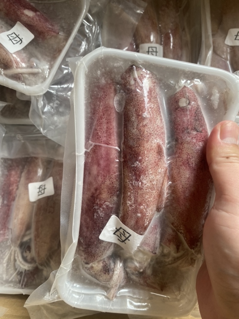 满膏鱿鱼带籽小管海兔有蛋鱿鱼