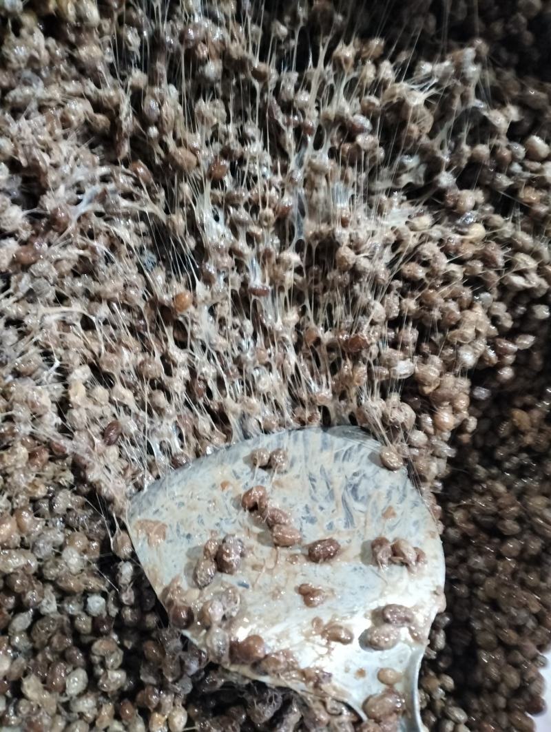 酱豆纳豆传统自然发酵无任何添加剂纯自然发酵