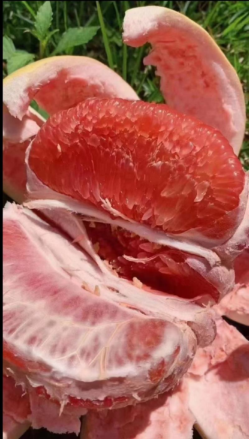 红心柚/白心柚/三红蜜柚《宜昌》