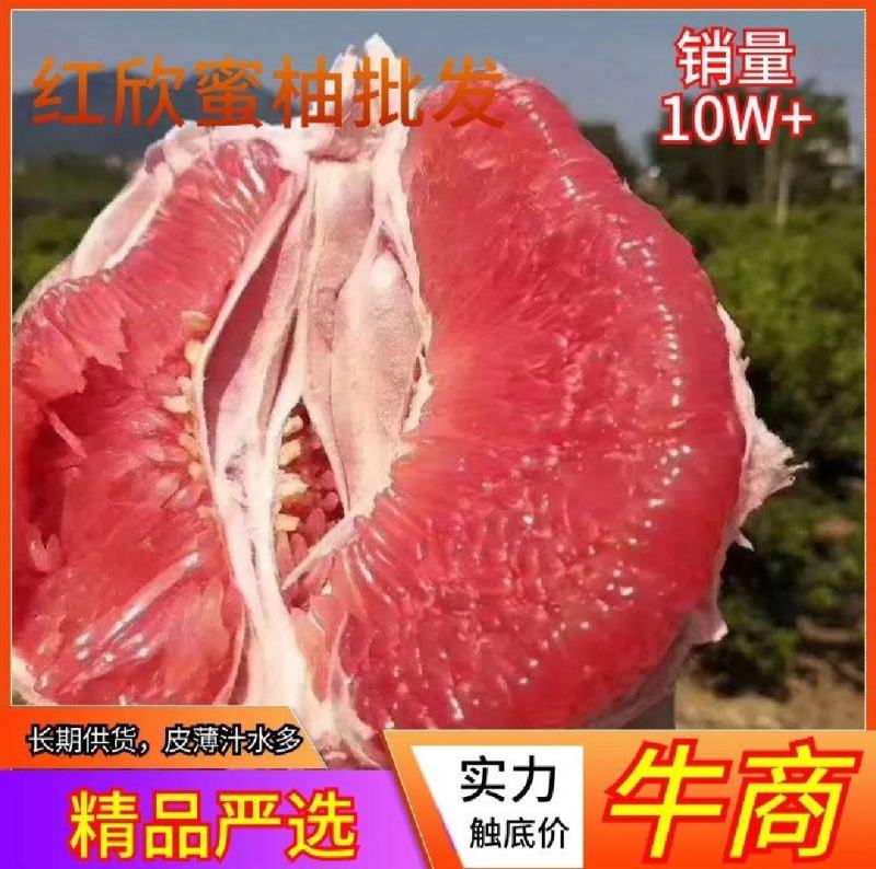 红心柚/白心柚/三红蜜柚《宜昌》