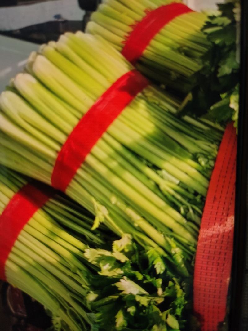 【精品西芹】芹菜大量上市，一手货源，承接电商，可视频看货