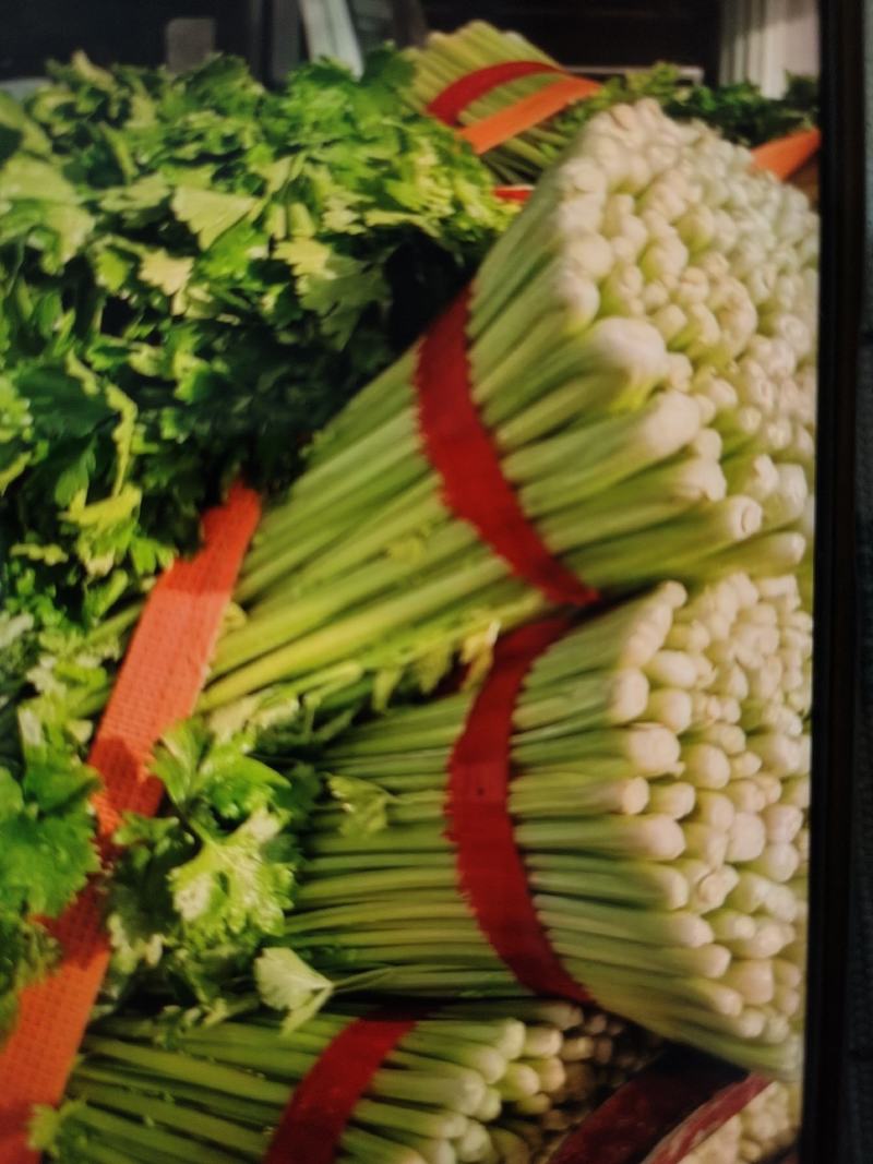 【精品西芹】芹菜大量上市，一手货源，承接电商，可视频看货