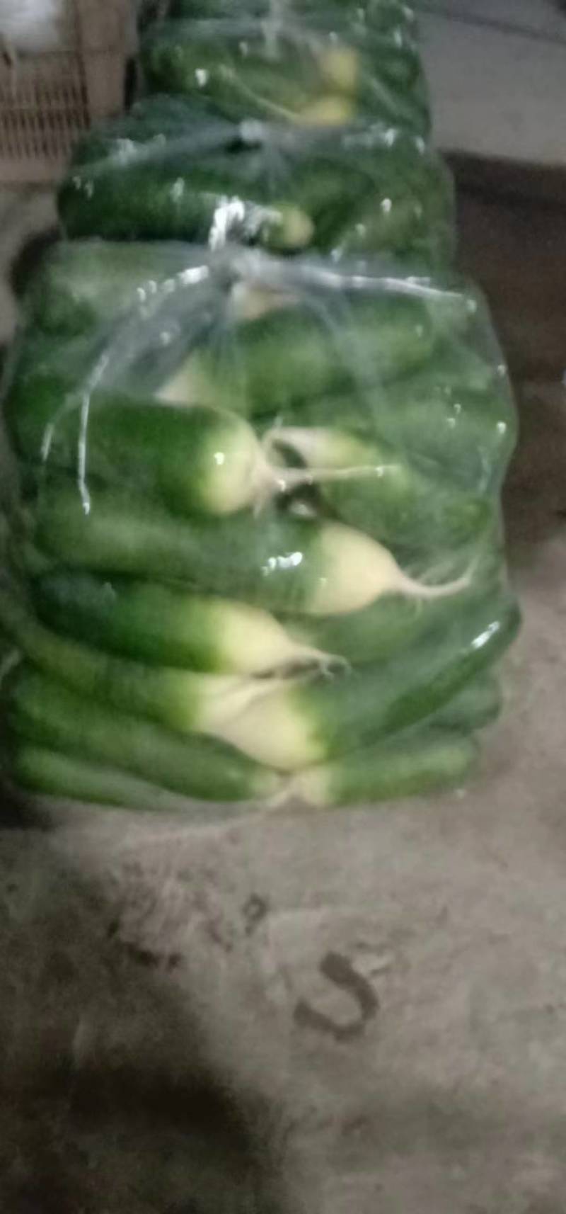 精品水洗青萝卜大量上市