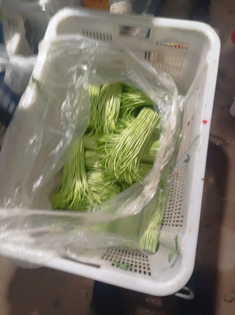 芦蒿