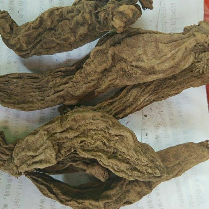 云南苗家野生中药材糖松草展会热卖500克一件包邮