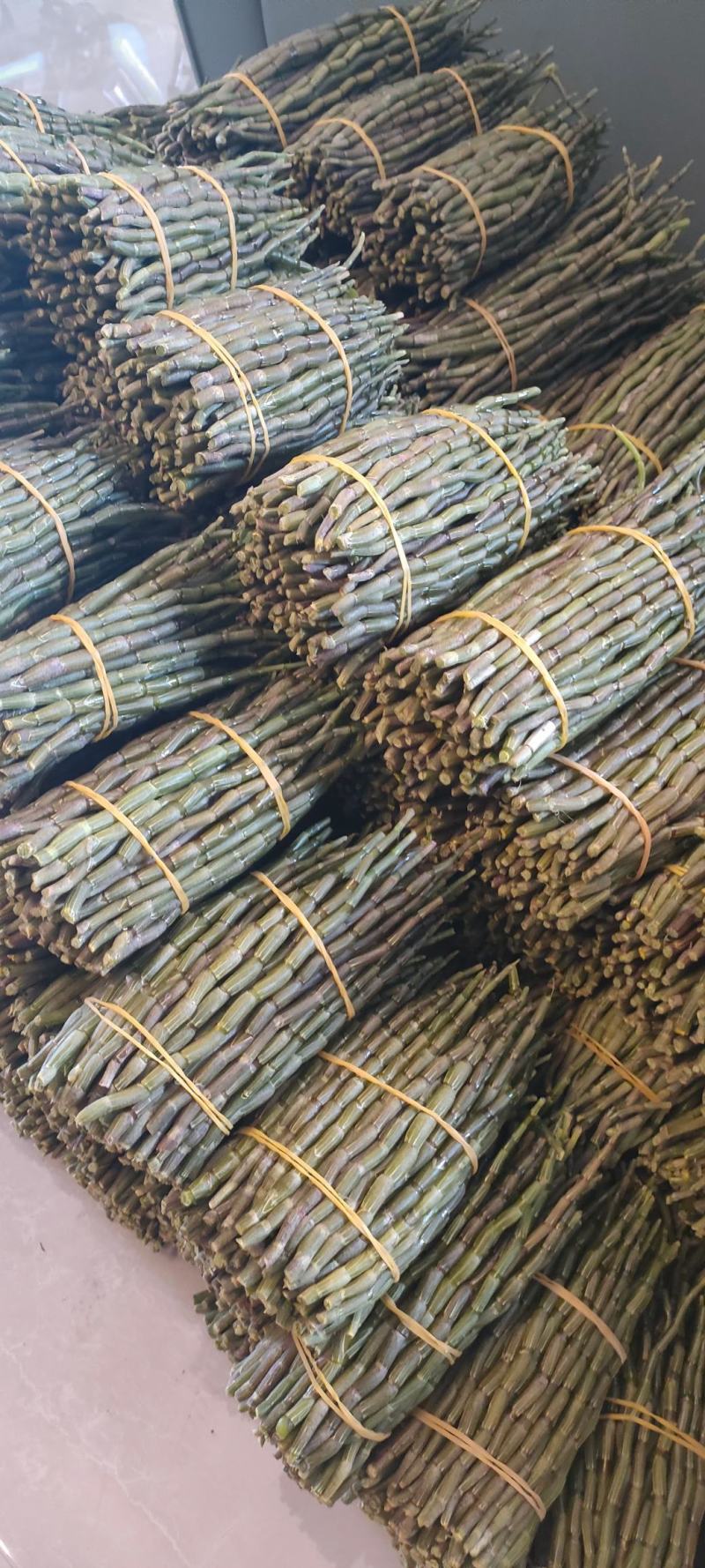 铁皮石斛，基地直发，质量保证，长可选，一手货源！！