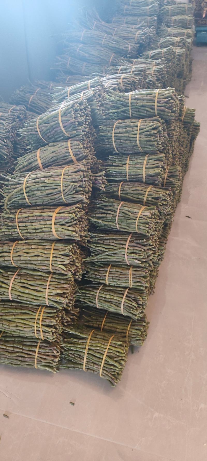 铁皮石斛，基地直发，质量保证，长可选，一手货源！！