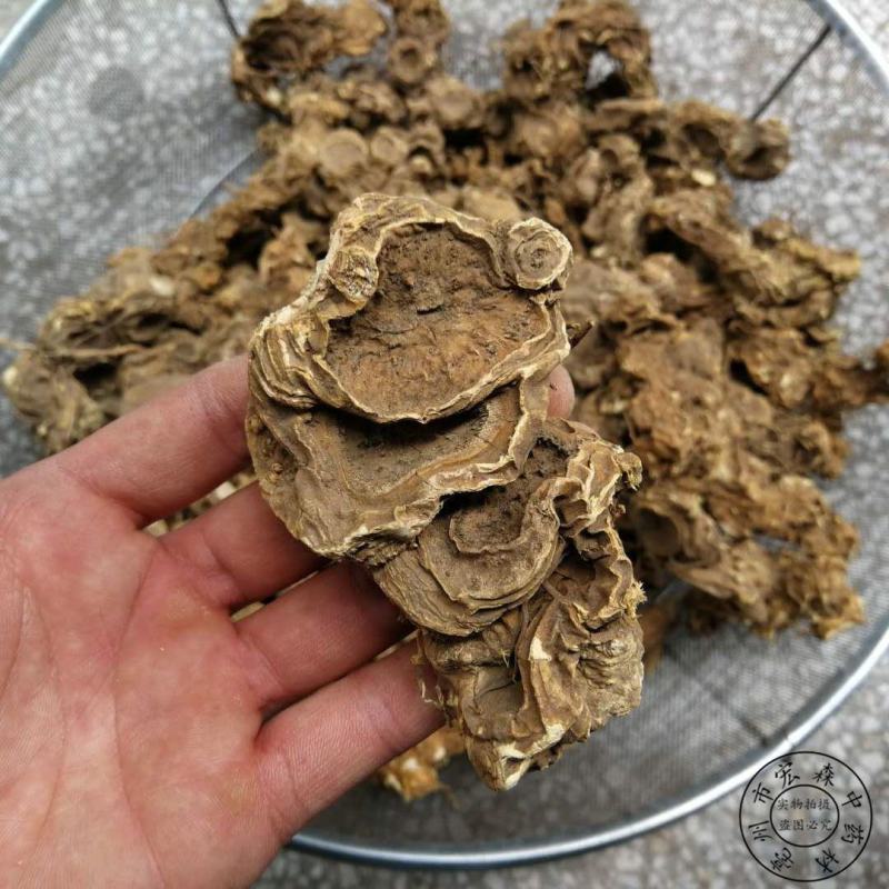 中药材大别山野生八角莲八角乌山荷叶金魁莲旱八角江边一碗水