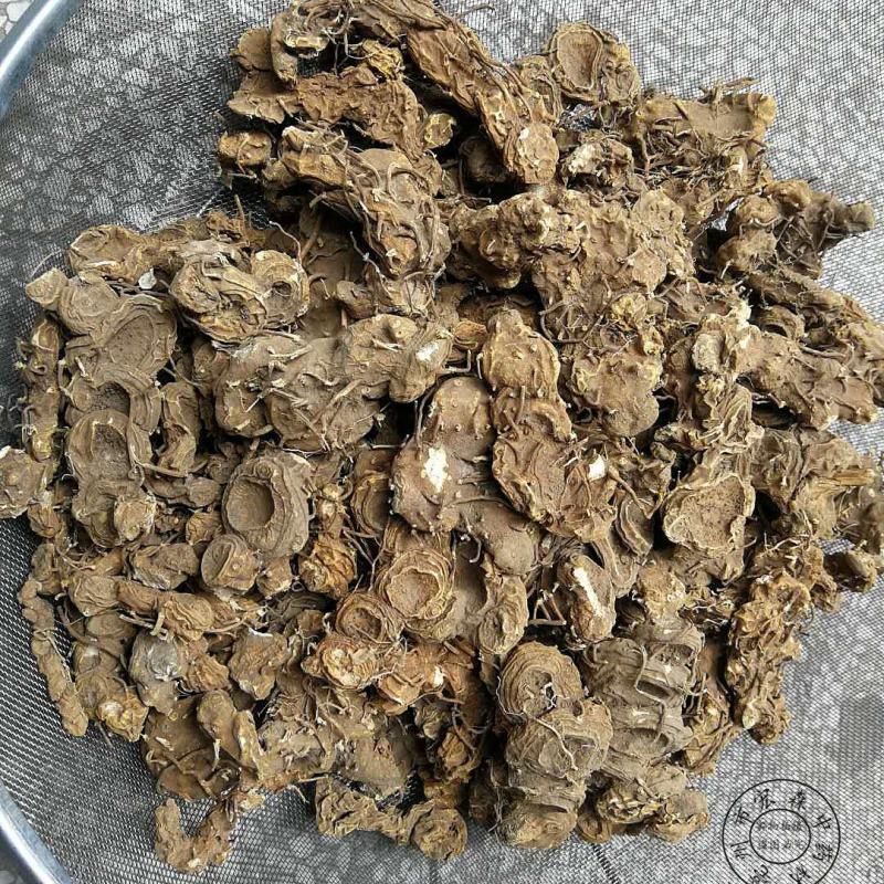 中药材大别山野生八角莲八角乌山荷叶金魁莲旱八角江边一碗水