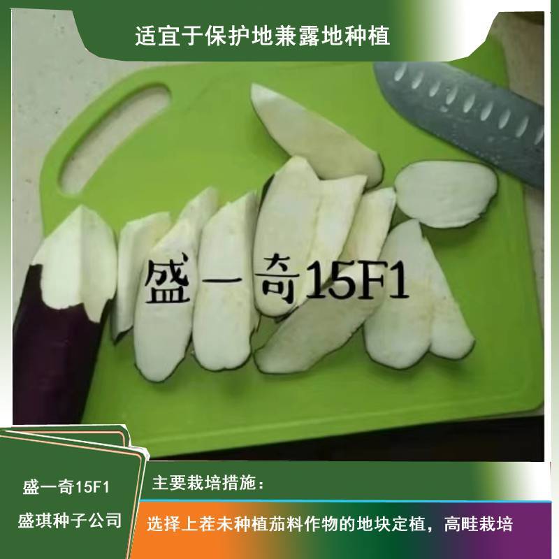 软糯香新品种烧烤茄种子盛一奇15F1耐热耐寒露地栽培紫红