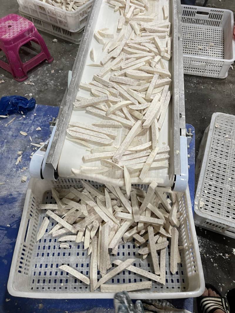 福建产区实力代办槟榔芋大量供应中，货源充足，工厂，电商
