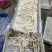 福建产区实力代办槟榔芋大量供应中，货源充足，工厂，电商