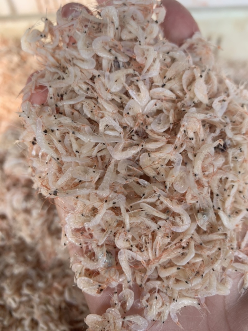 新到渤海湾虾皮，7.5元一斤，小个头，很干净