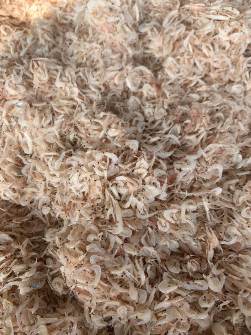 新到渤海湾虾皮，7.5元一斤，小个头，很干净
