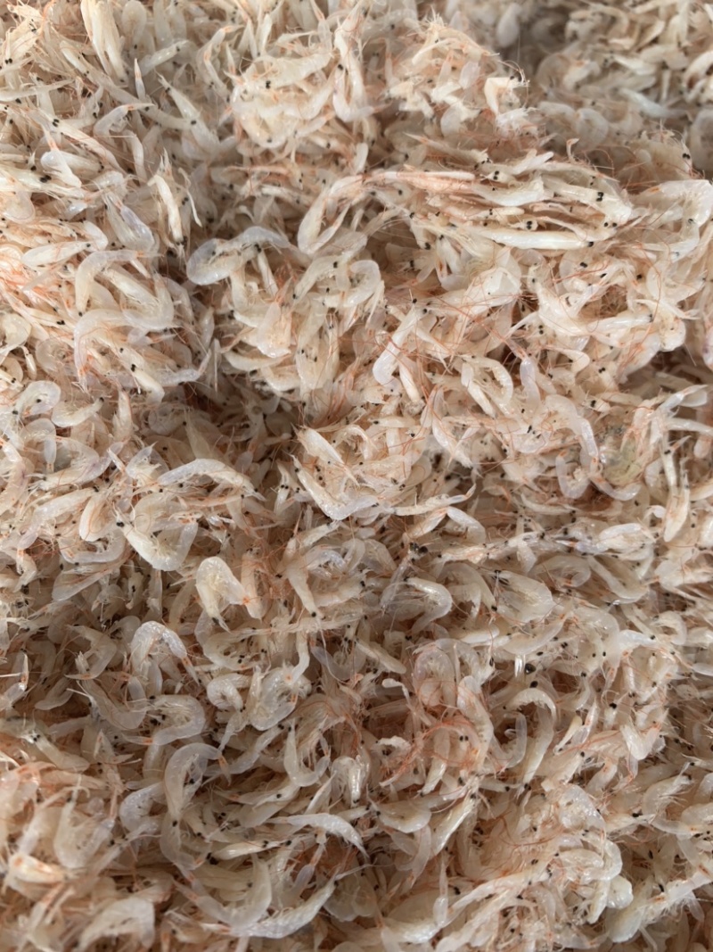 新到渤海湾虾皮，7.5元一斤，小个头，很干净