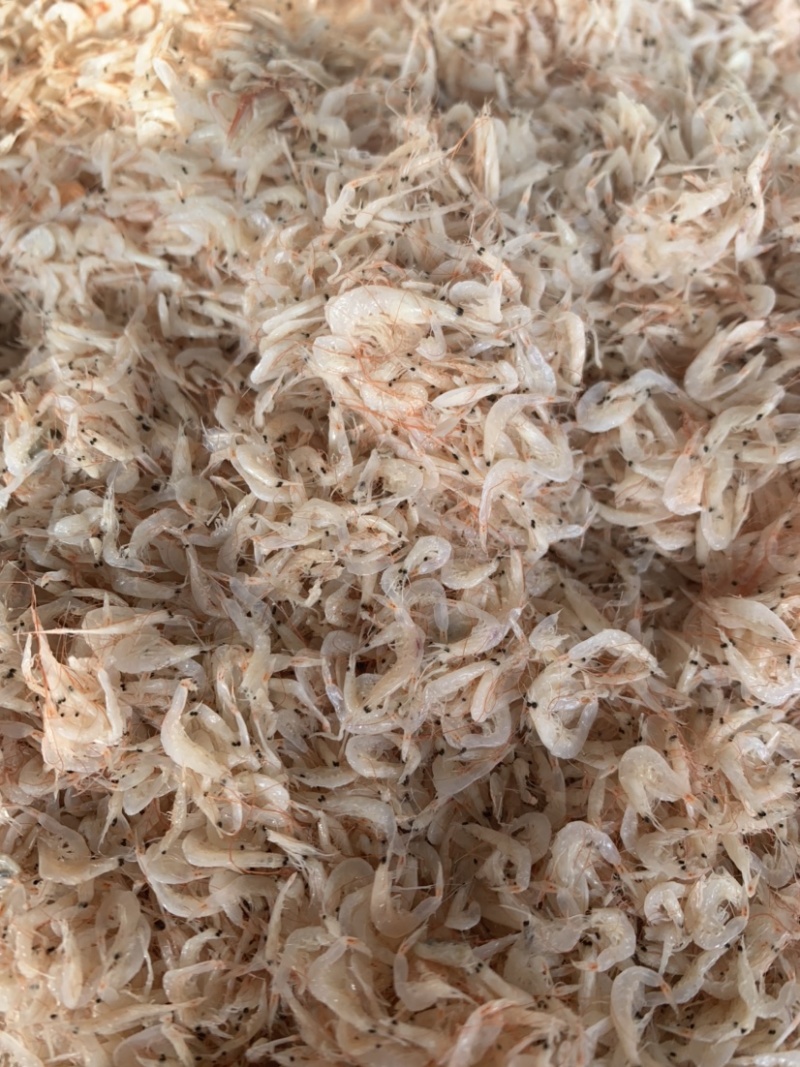 新到渤海湾虾皮，7.5元一斤，小个头，很干净