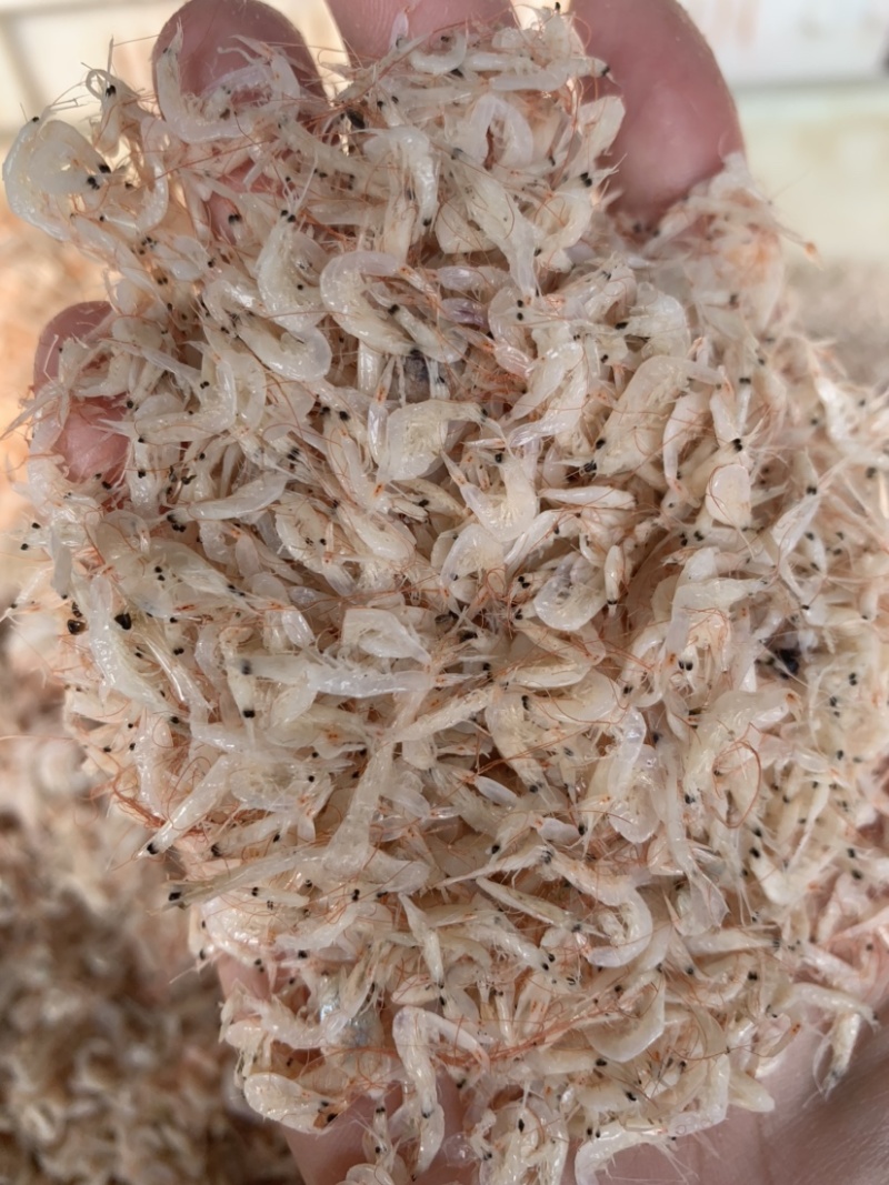 新到渤海湾虾皮，7.5元一斤，小个头，很干净