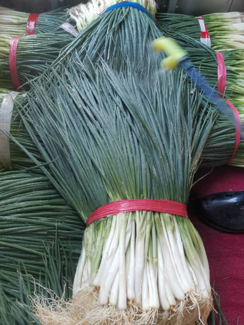 湖北小葱当阳市同新果蔬种植专业合作社可视频看货